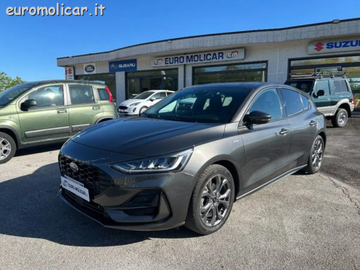 Ford Focus usata a Campobasso
