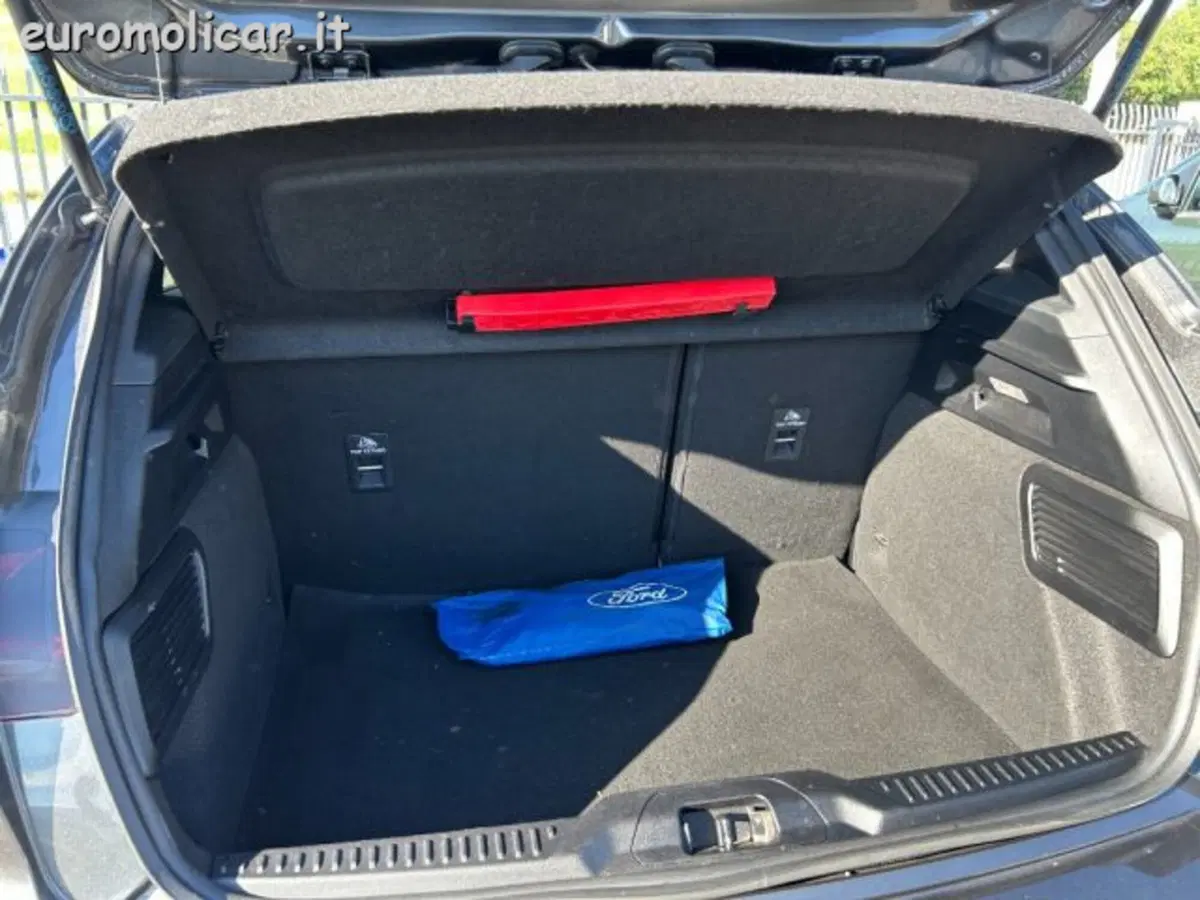 Ford Focus usata a Campobasso (14)