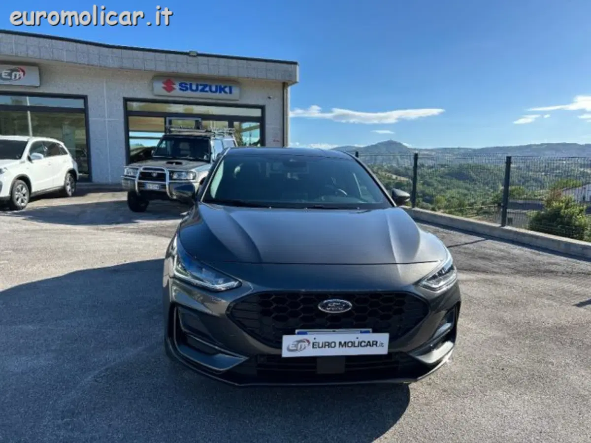 Ford Focus usata a Campobasso (2)