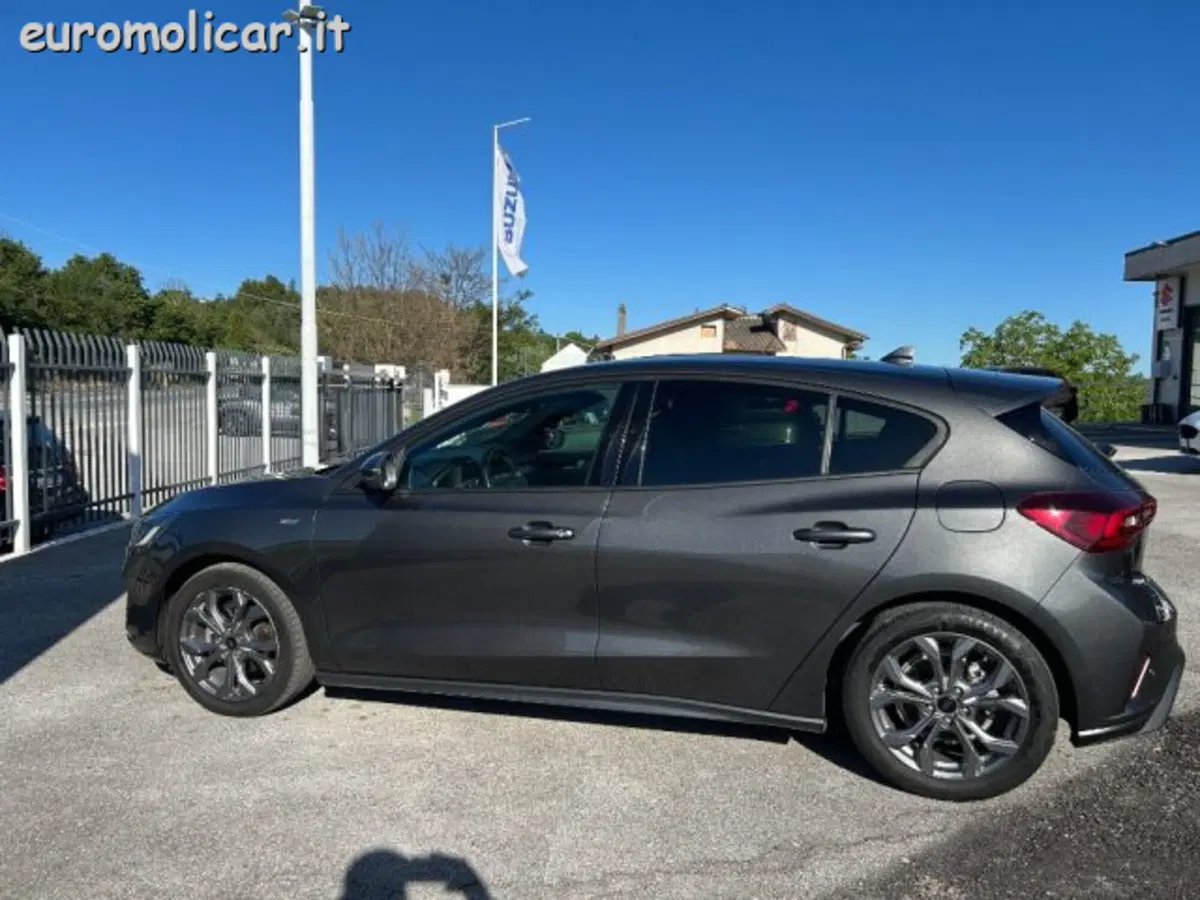 Ford Focus usata a Campobasso (8)