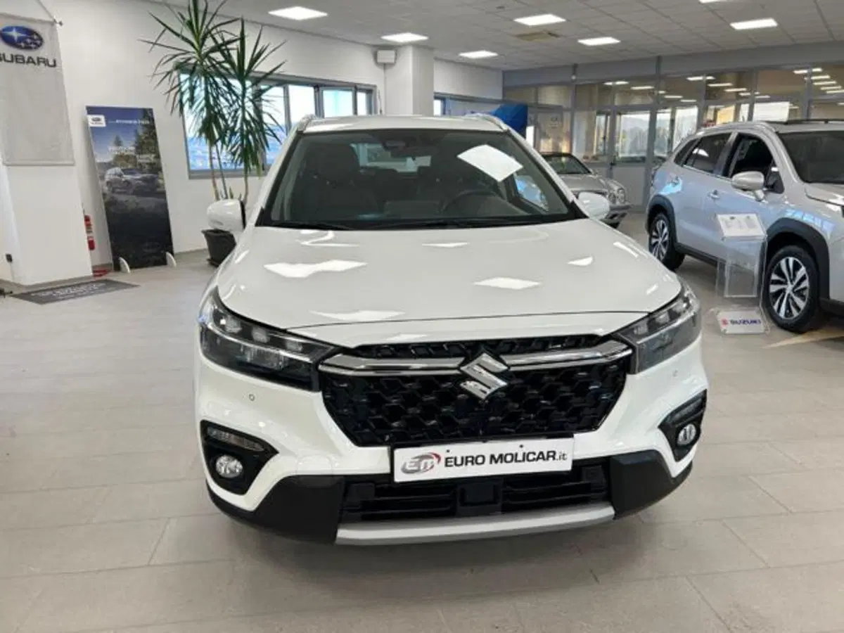 Suzuki S-Cross usata a Campobasso (7)