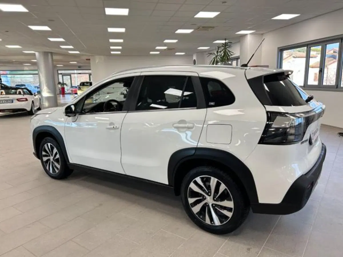 Suzuki S-Cross usata a Campobasso (8)