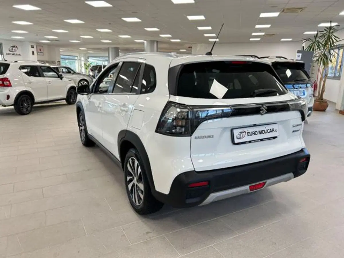 Suzuki S-Cross usata a Campobasso (9)