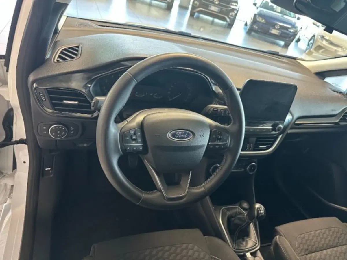 Ford Fiesta usata a Cuneo (10)