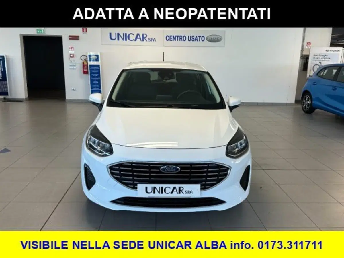 Ford Fiesta usata a Cuneo (2)
