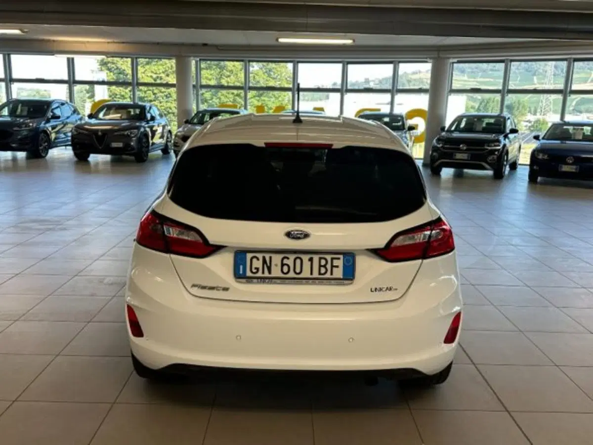 Ford Fiesta usata a Cuneo (6)