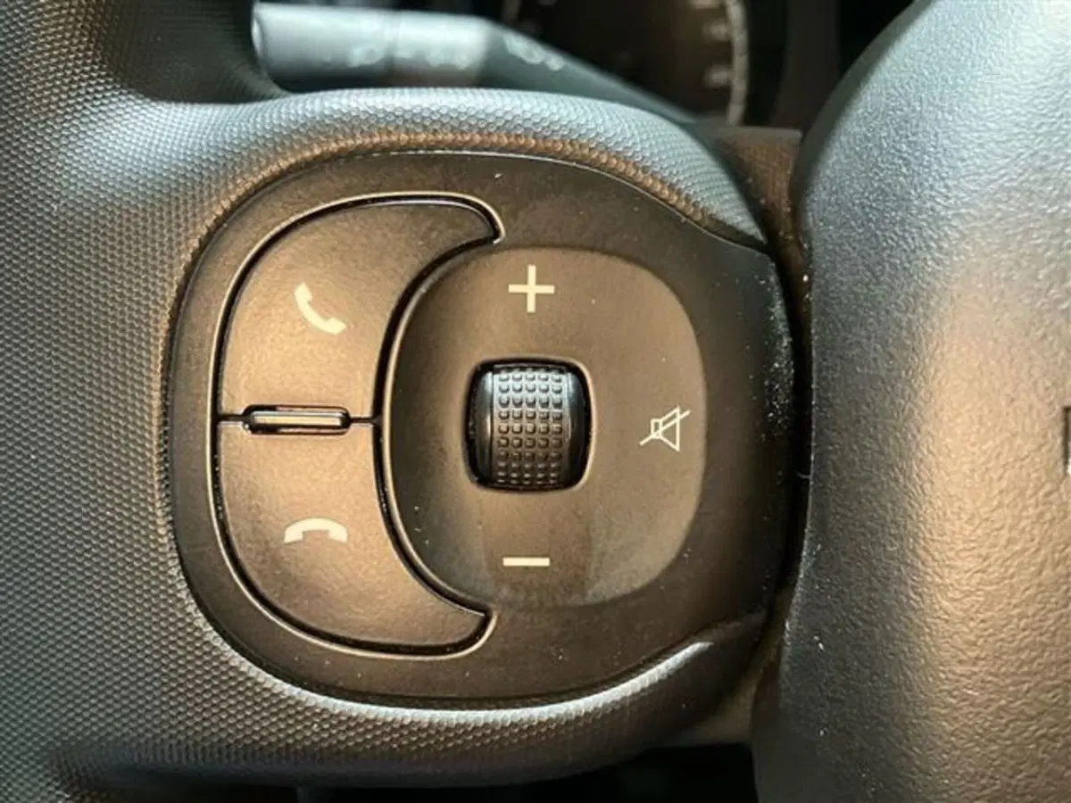 Fiat Panda Cross usata a Como (17)
