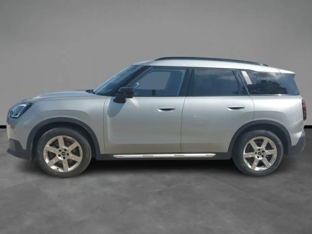 MINI Mini Countryman usata a Lecce (2)