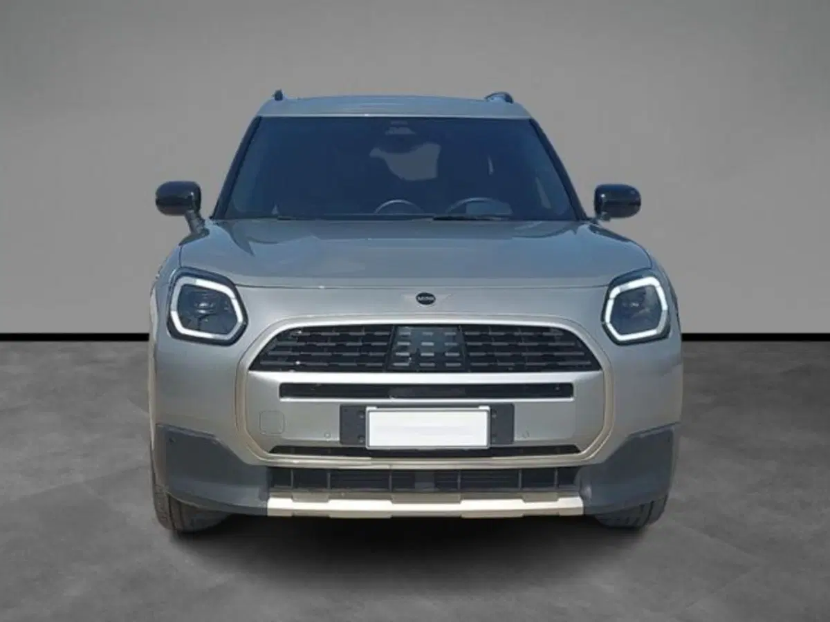 MINI Mini Countryman usata a Lecce (7)