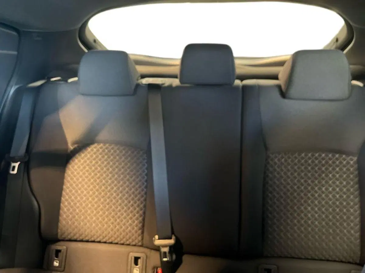 Toyota Toyota C-HR usata a Catanzaro (10)