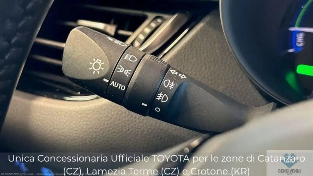 Toyota Toyota C-HR usata a Catanzaro (15)