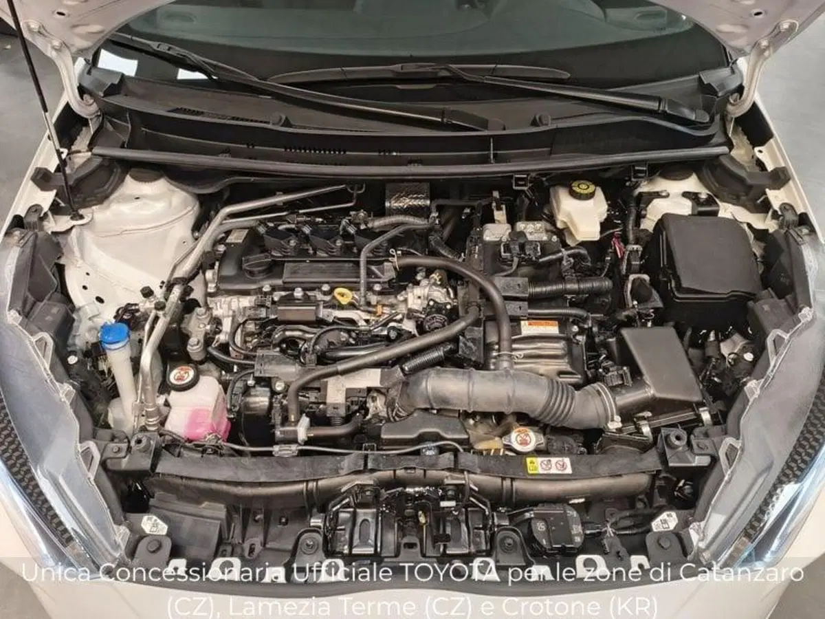 Toyota Yaris Cross usata a Catanzaro (13)
