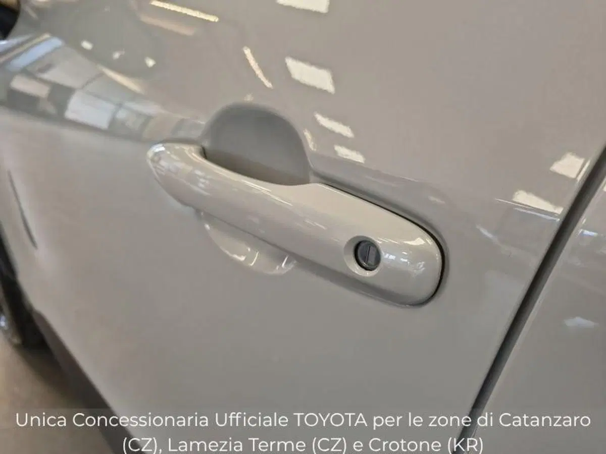Toyota Yaris Cross usata a Catanzaro (10)