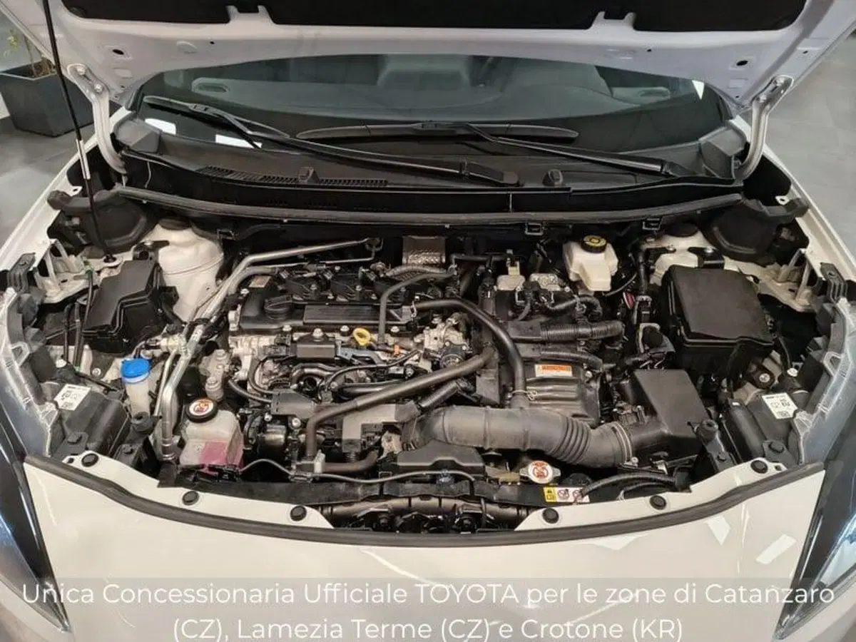 Toyota Yaris Cross usata a Catanzaro (12)