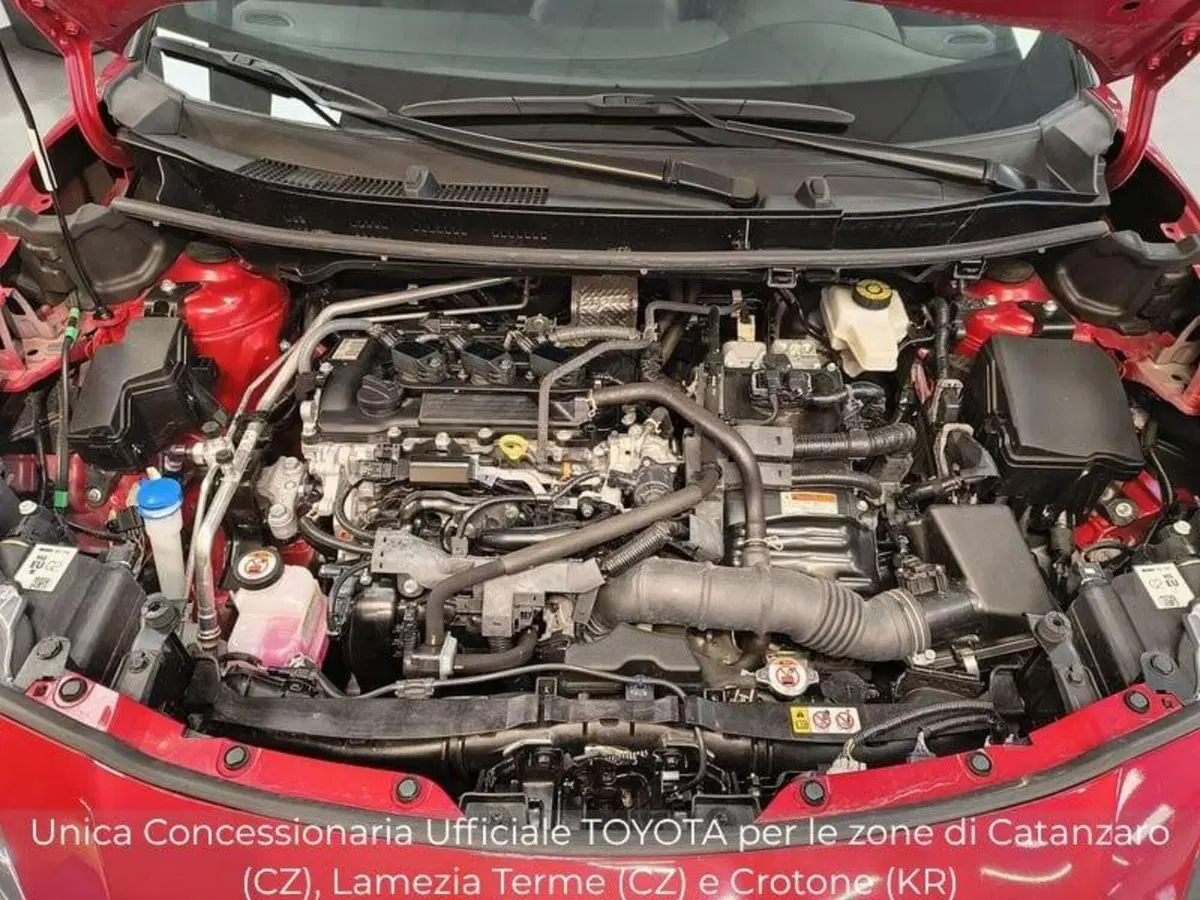 Toyota Yaris Cross usata a Catanzaro (12)