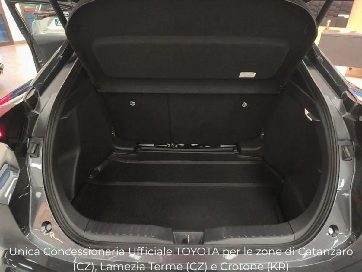 Toyota Toyota C-HR usata a Catanzaro (15)