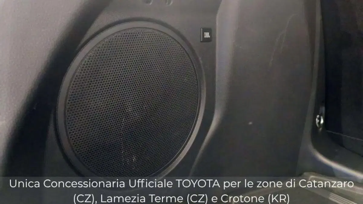 Toyota Toyota C-HR usata a Catanzaro (10)