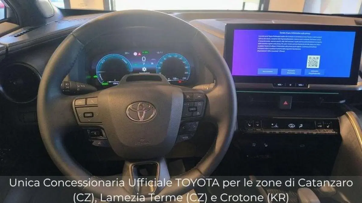 Toyota Toyota C-HR usata a Catanzaro (13)