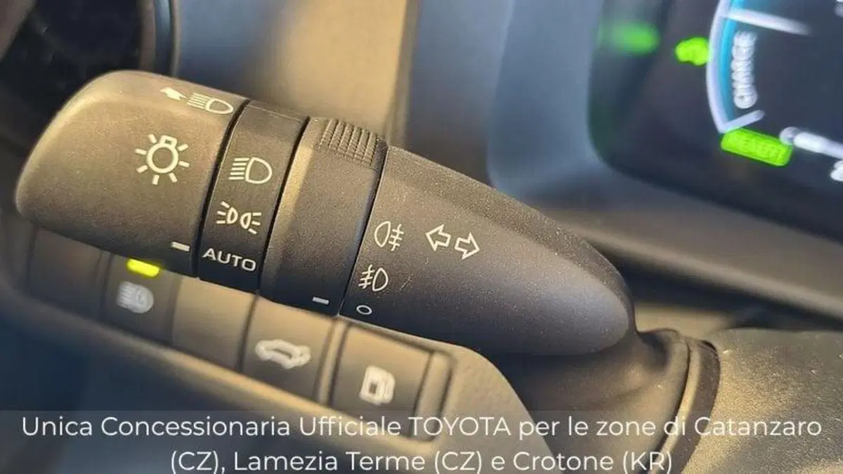 Toyota Toyota C-HR usata a Catanzaro (15)