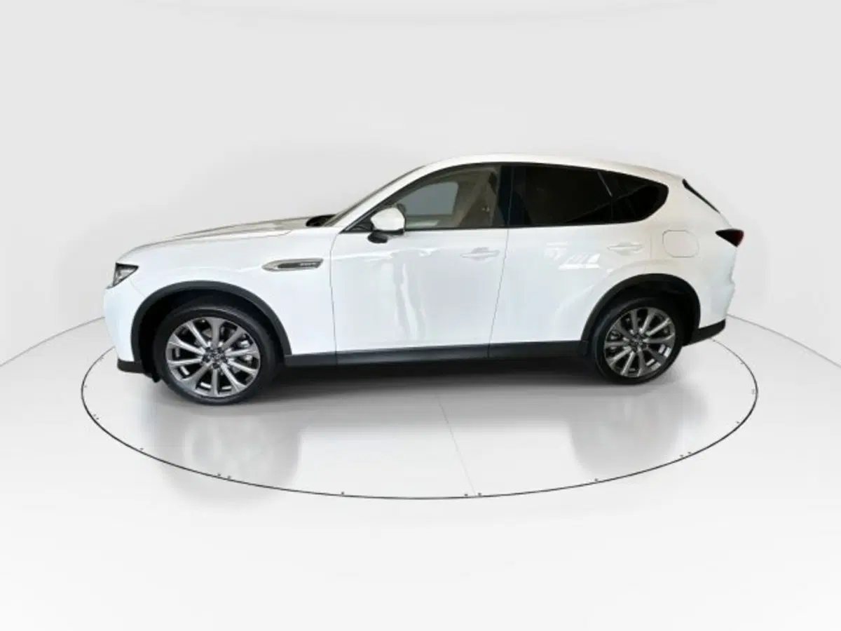 Mazda CX-60 usata a Modena (12)