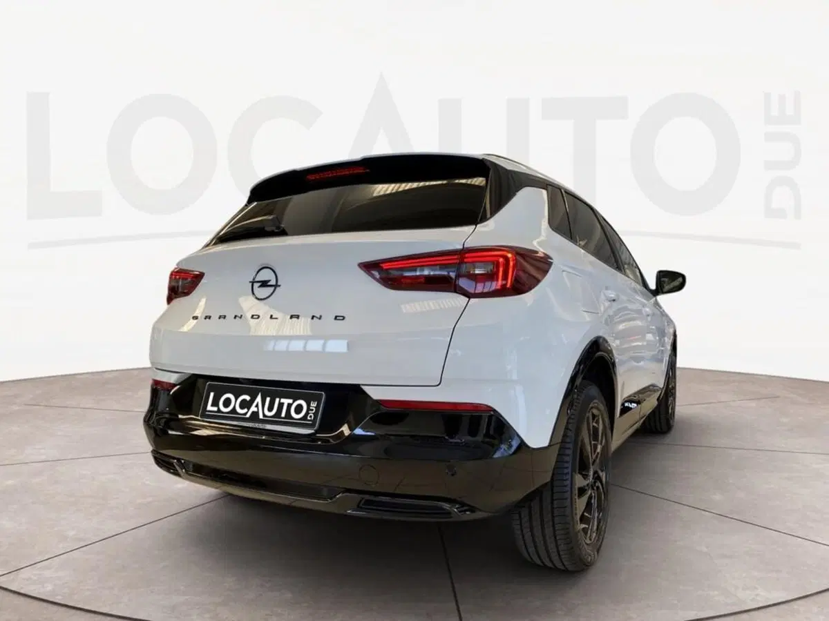 Opel Grandland usata a Torino (4)