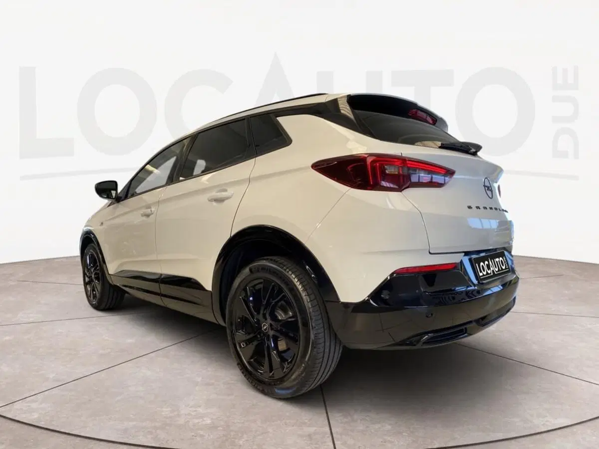 Opel Grandland usata a Torino (5)
