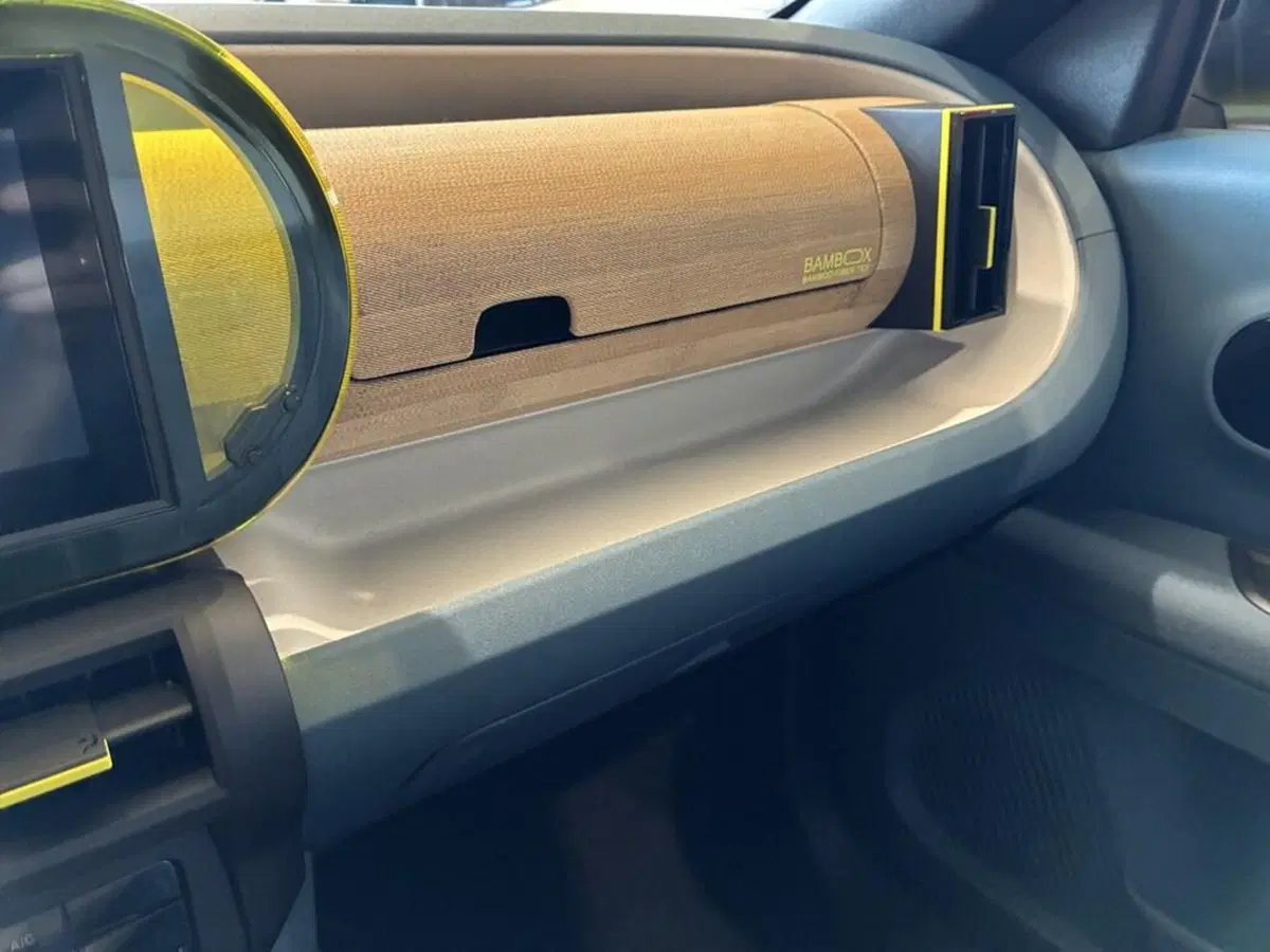 Fiat Grande Panda nuova a Torino (14)