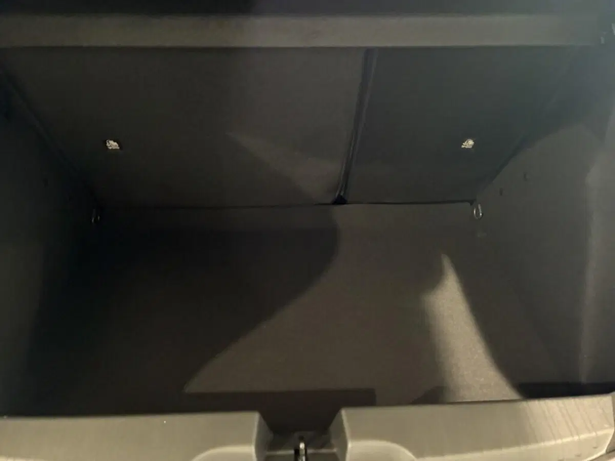 Fiat Grande Panda nuova a Torino (9)