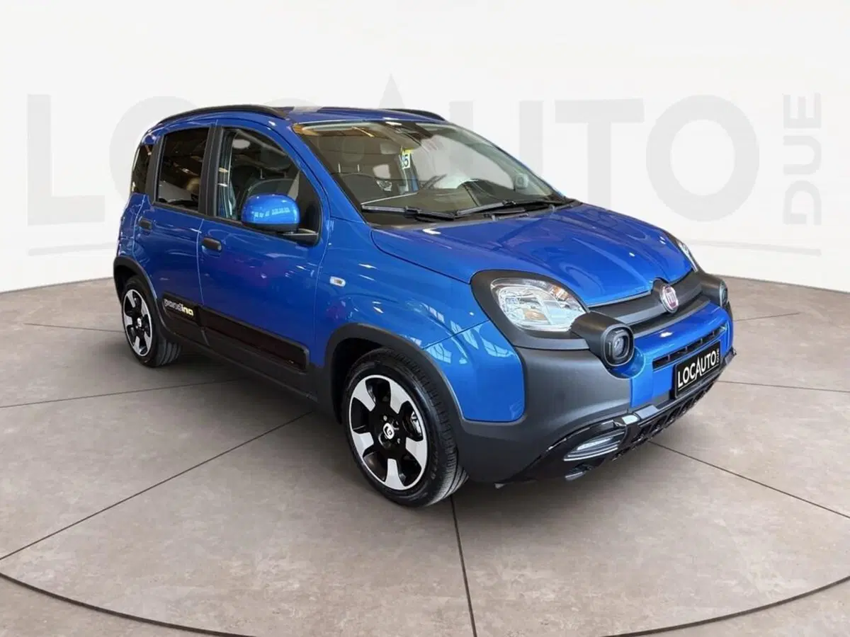 Fiat Pandina nuova a Torino (3)
