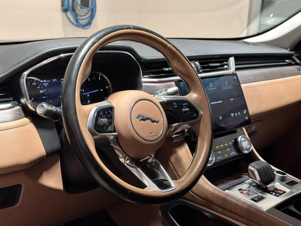Jaguar F-Pace usata a Varese (10)
