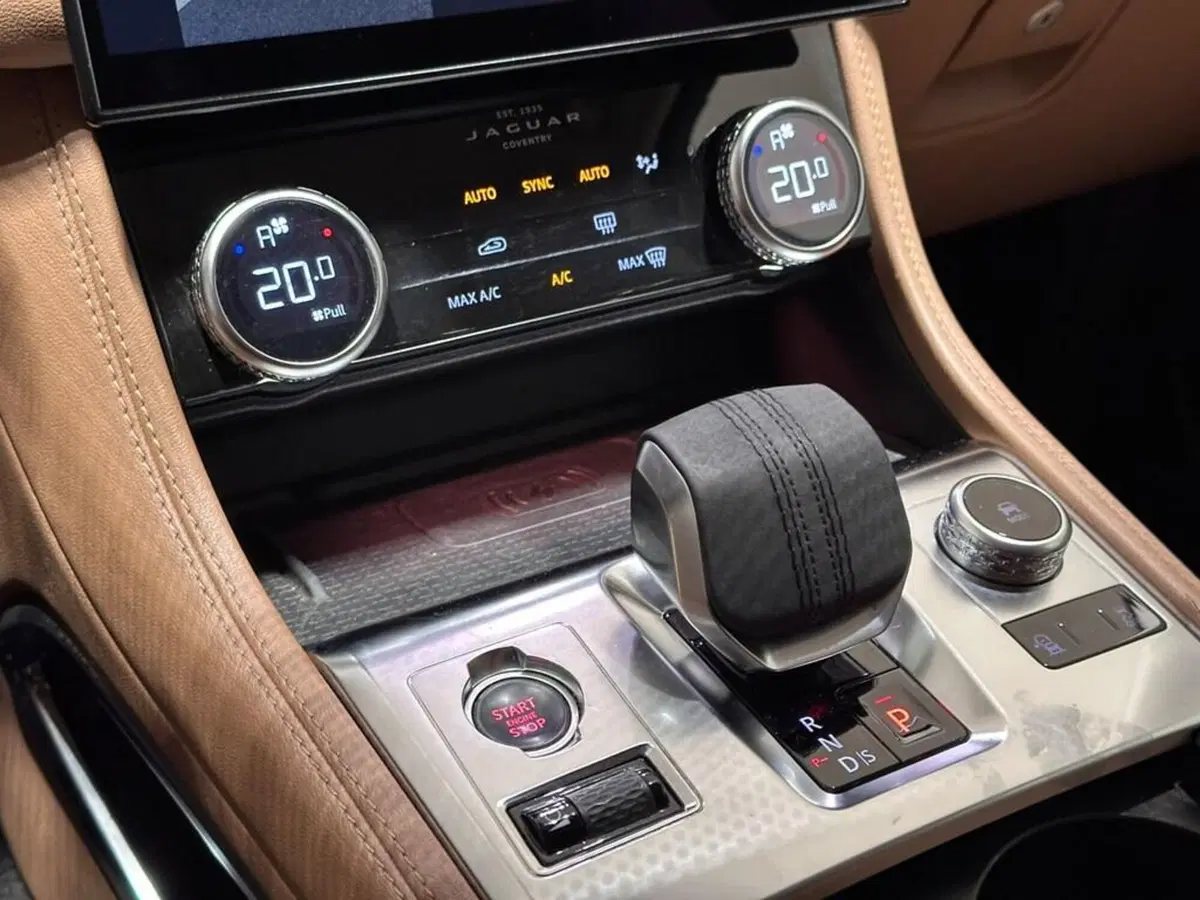 Jaguar F-Pace usata a Varese (11)
