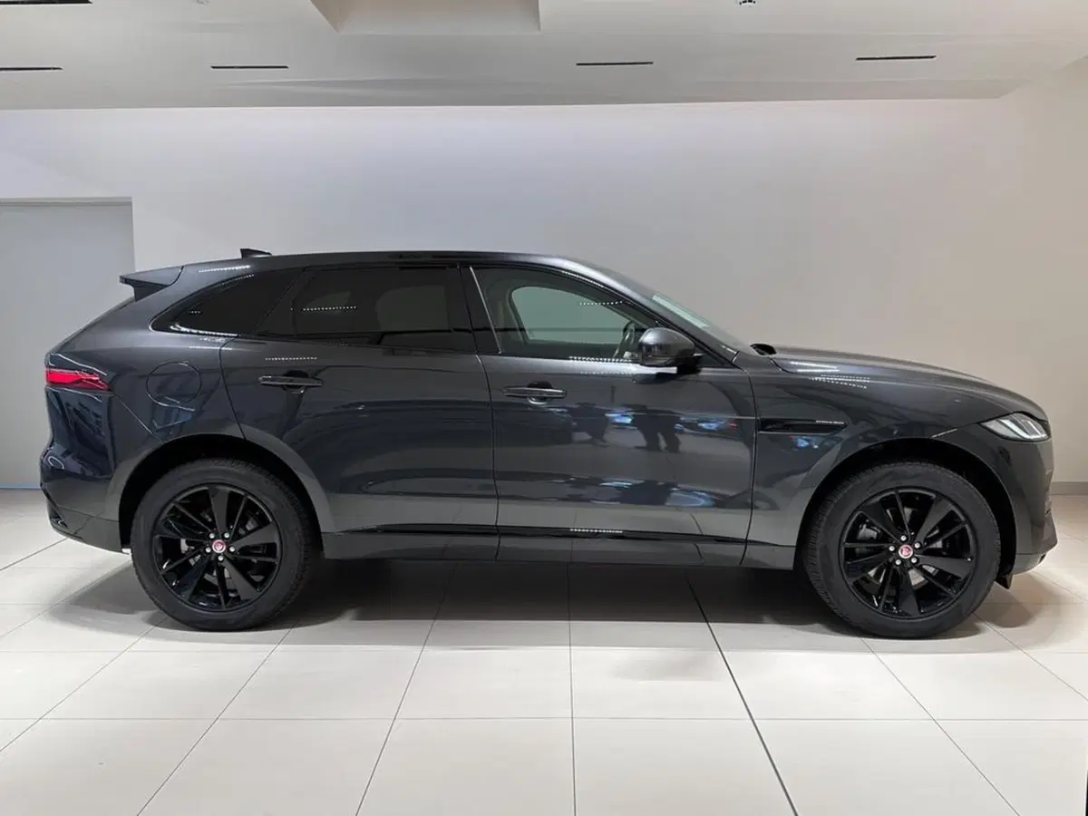 Jaguar F-Pace usata a Varese (5)