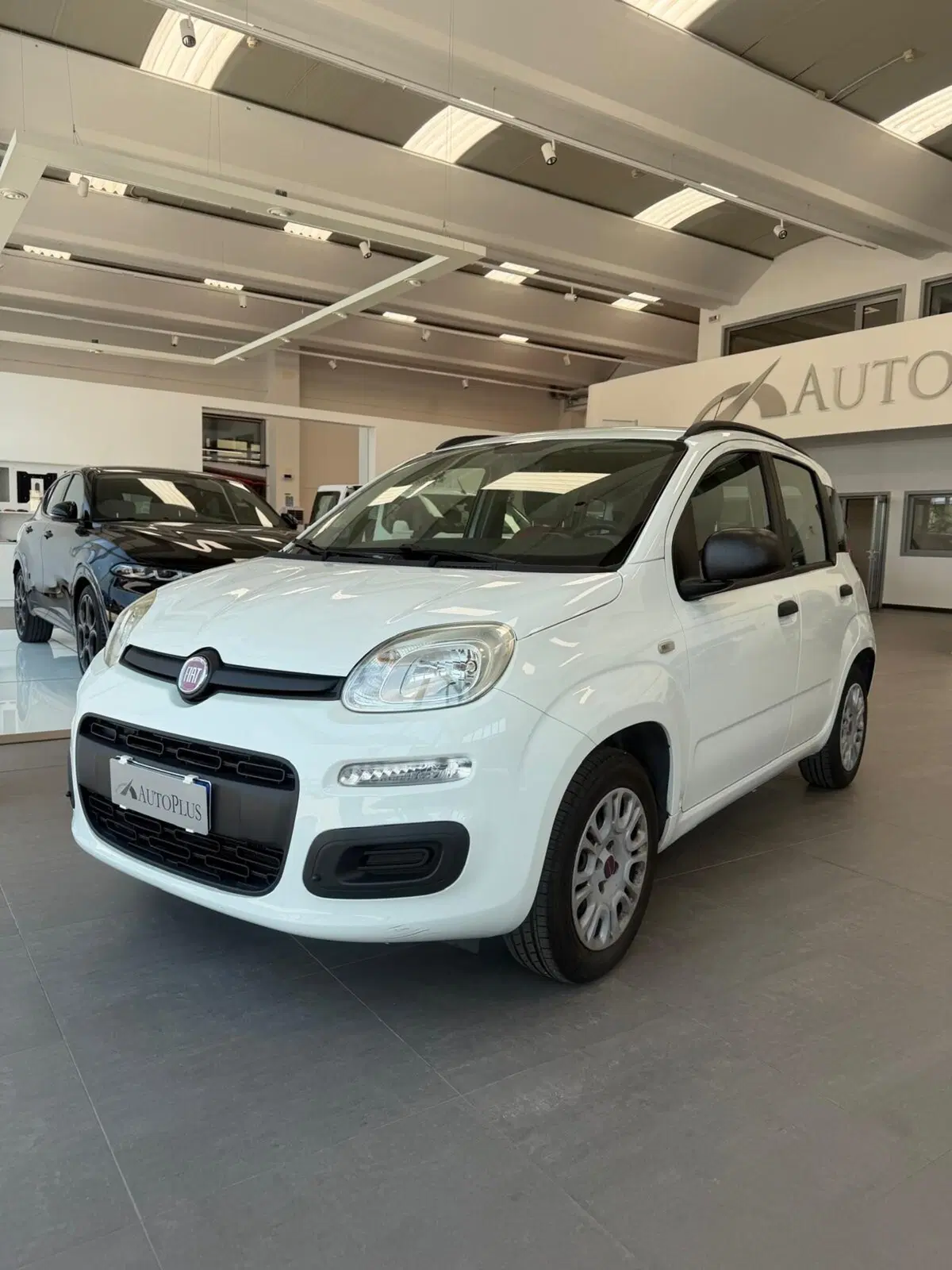 Fiat Panda usata a Sassari