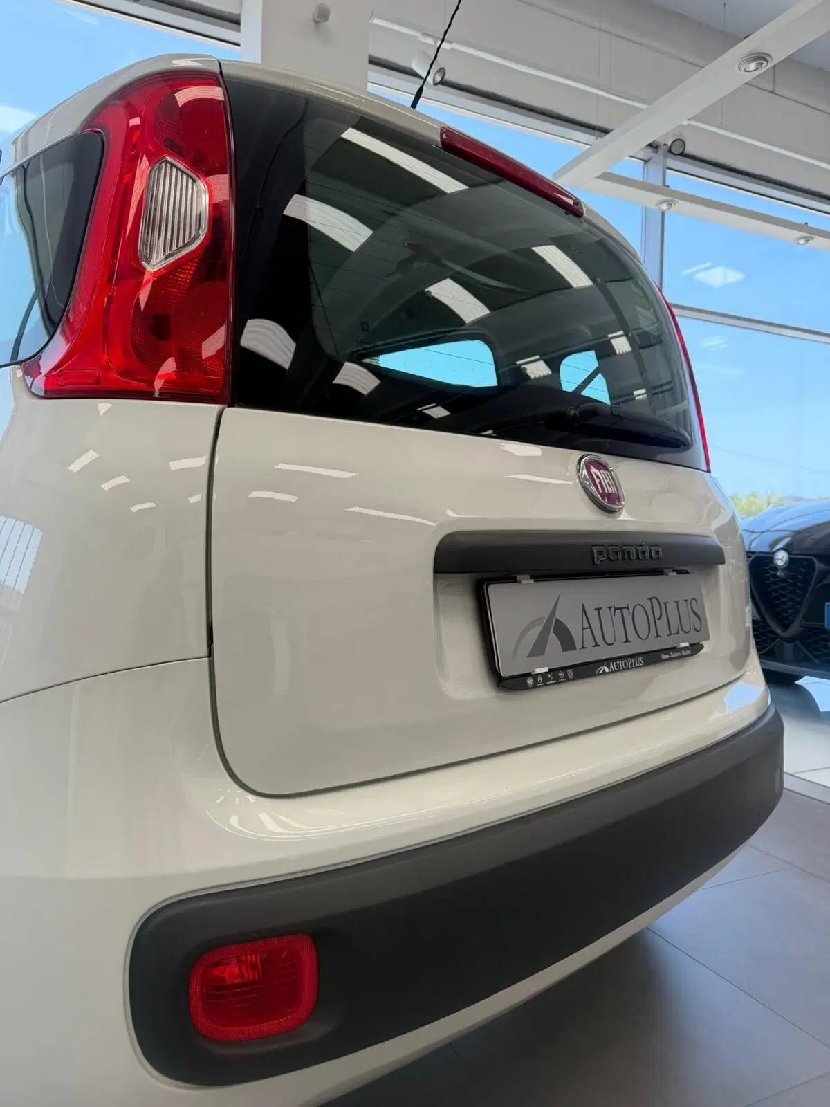 Fiat Panda usata a Sassari (5)