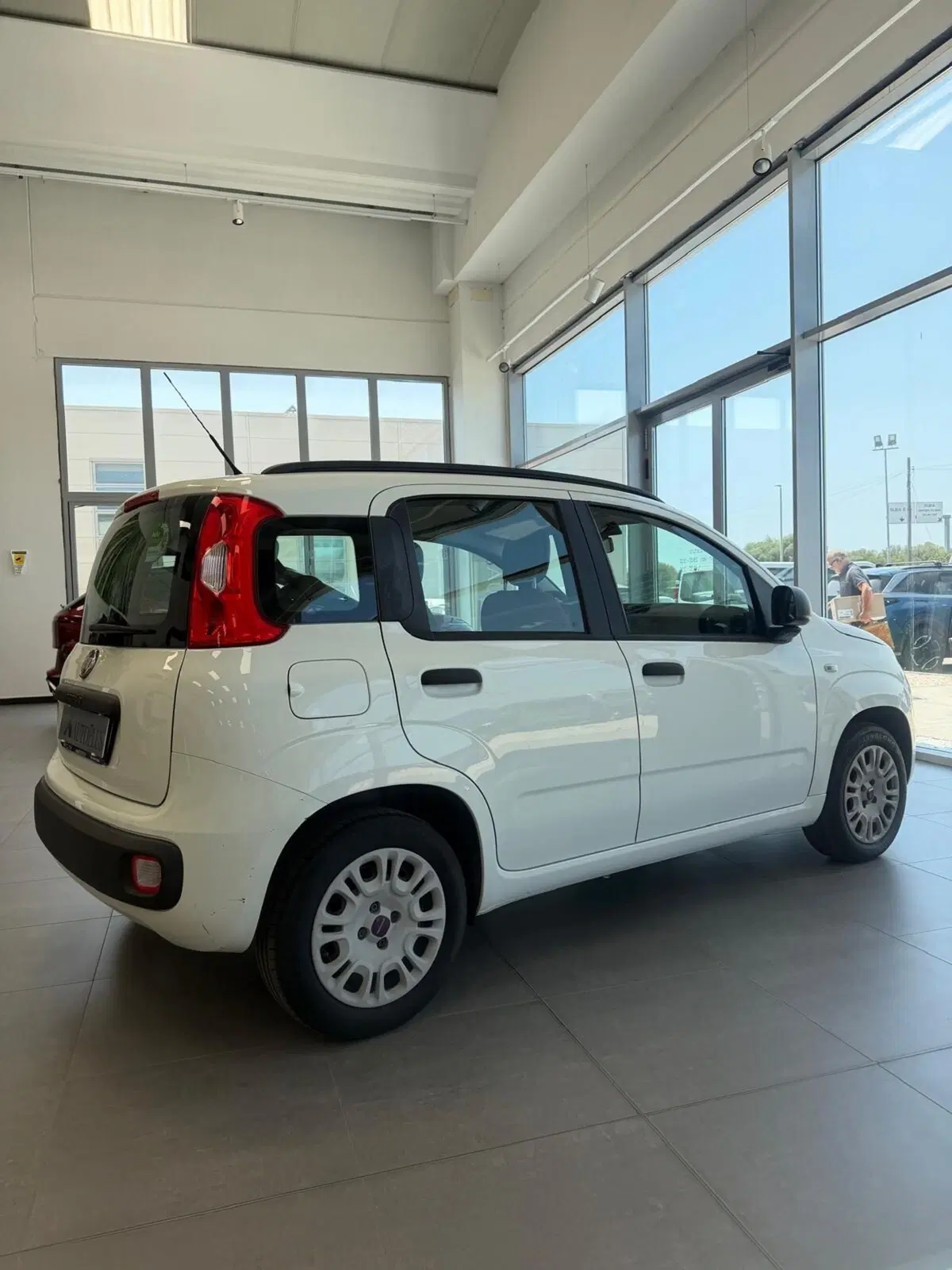 Fiat Panda usata a Sassari (7)