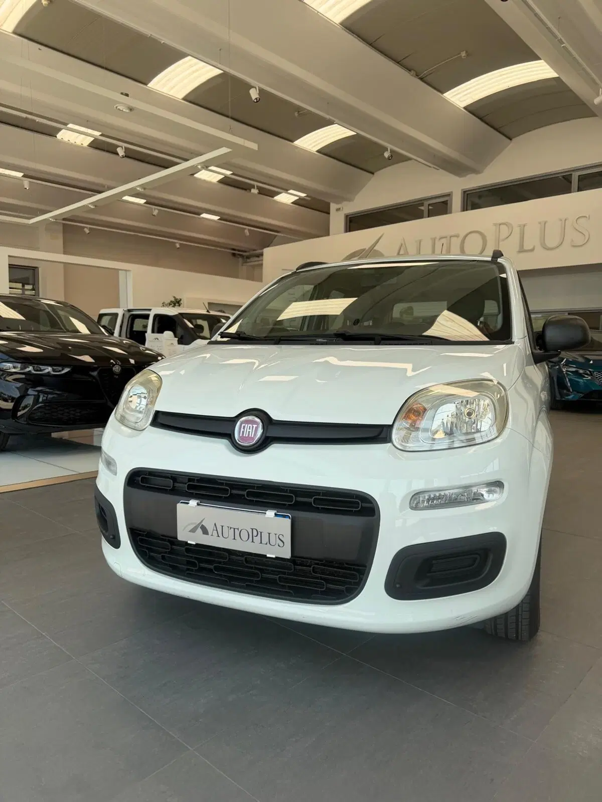Fiat Panda usata a Sassari (8)