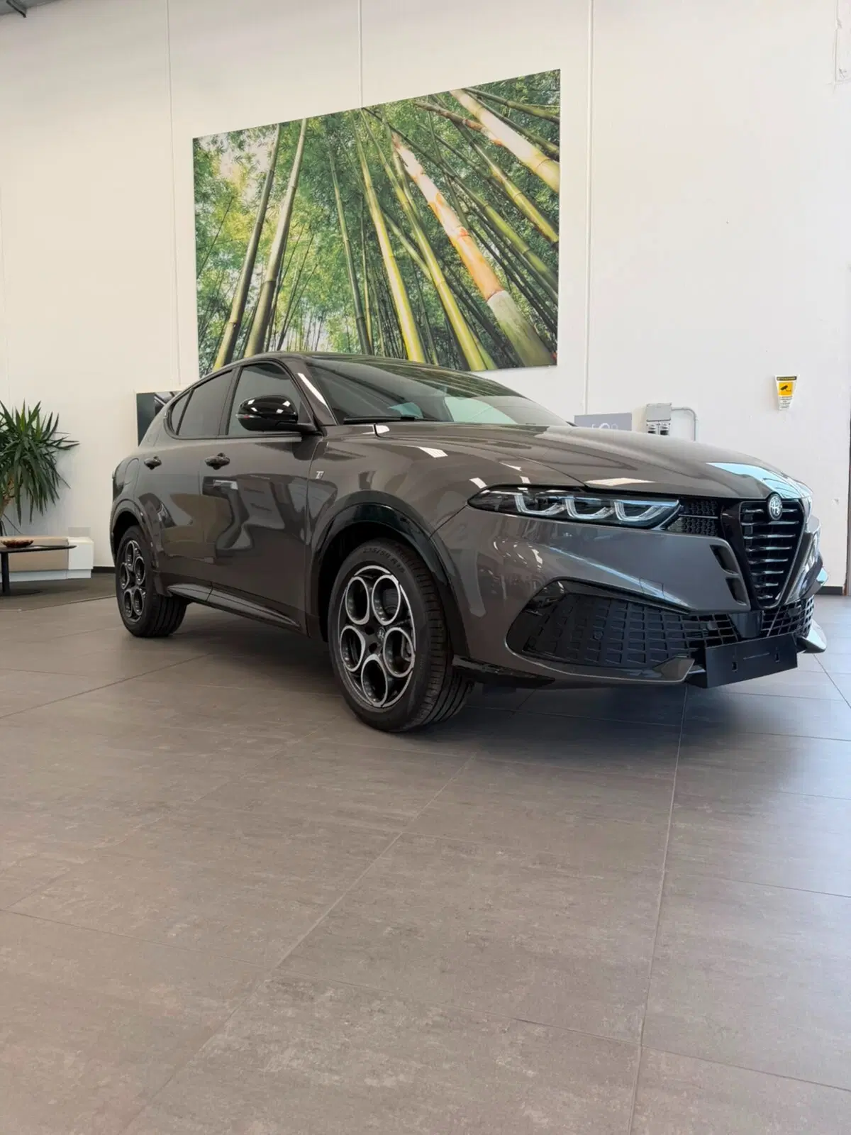 Alfa Romeo Tonale nuova a Sassari (2)