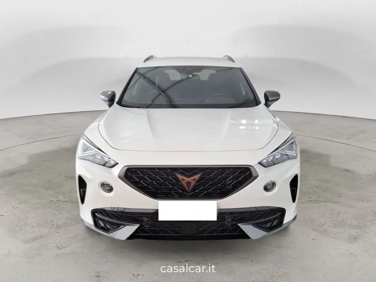 Cupra Formentor usata a Salerno (2)