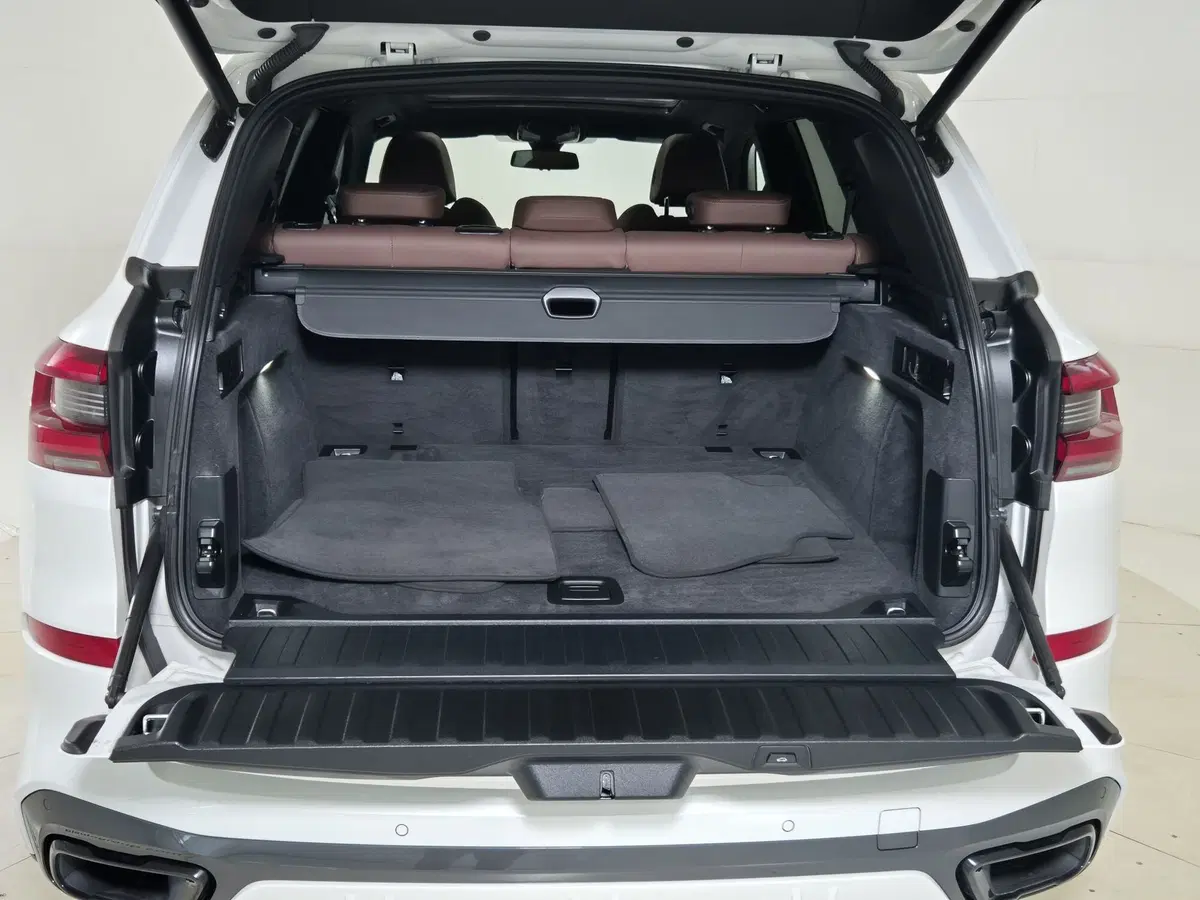 BMW X5 usata a Torino (14)