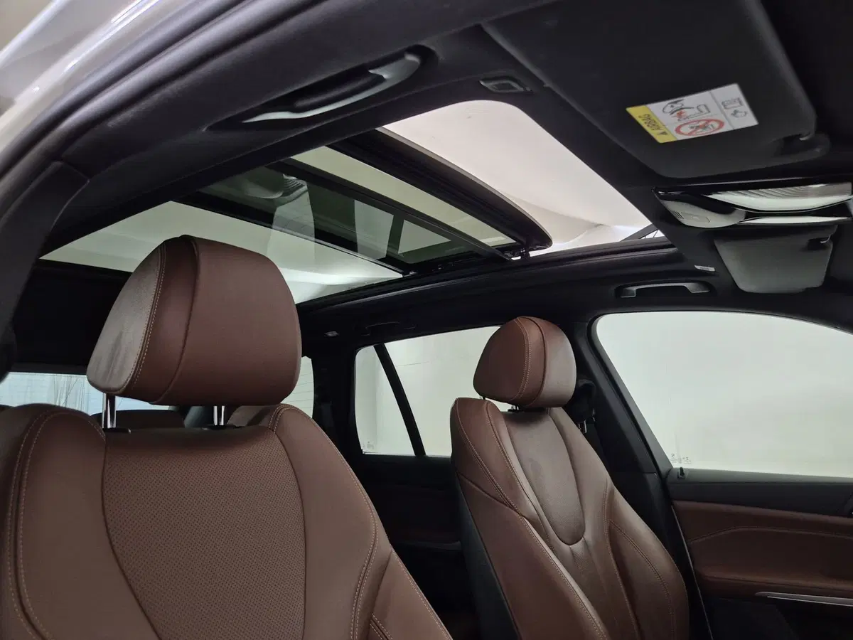 BMW X5 usata a Torino (18)