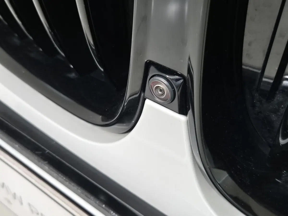 BMW X5 usata a Torino (19)