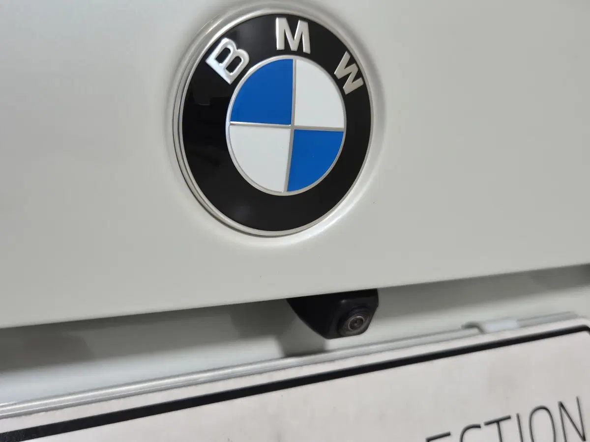 BMW X5 usata a Torino (20)