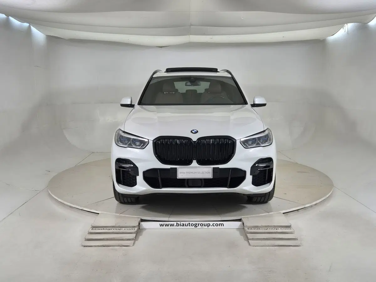 BMW X5 usata a Torino (3)