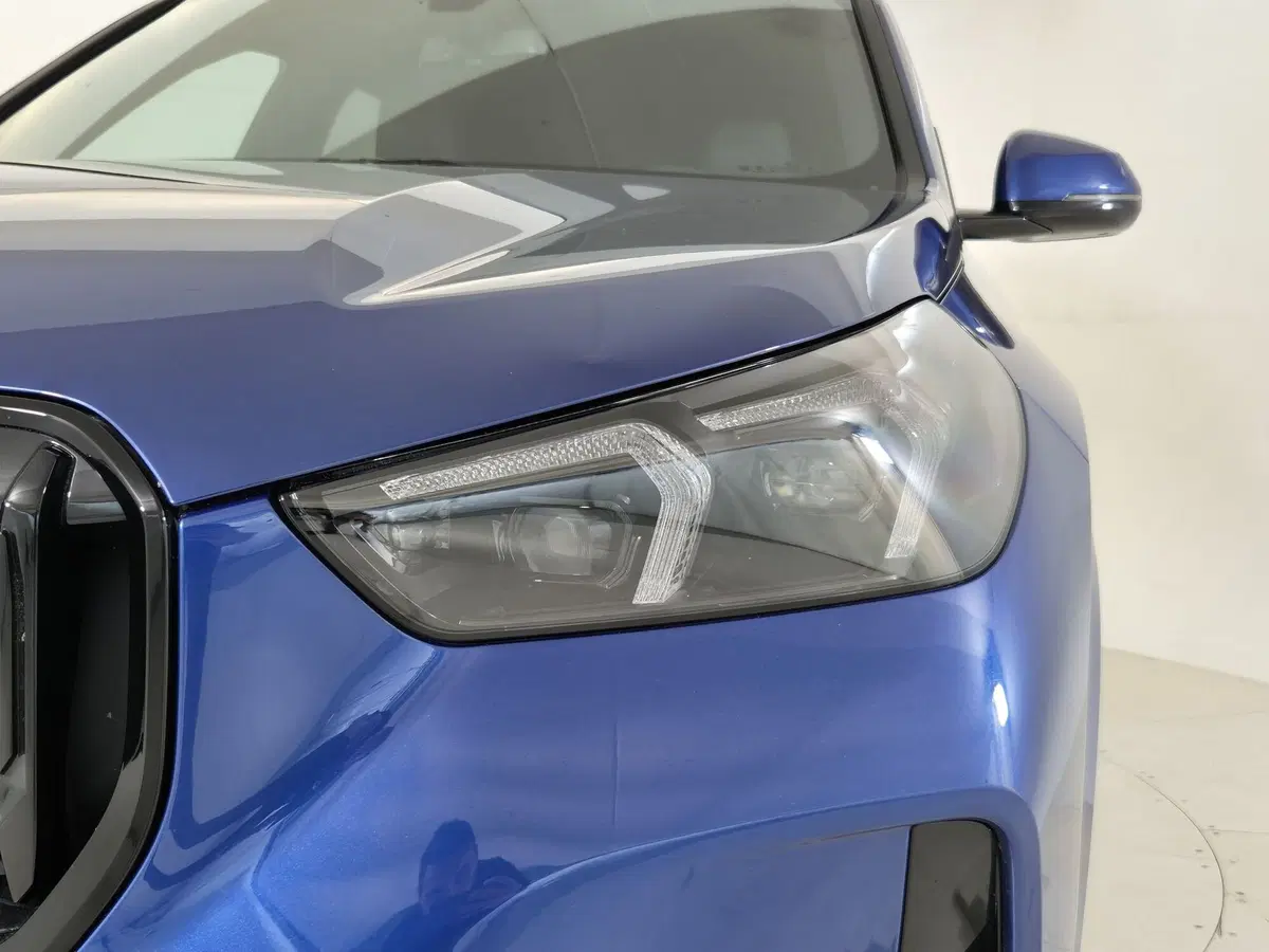 BMW X1 usata a Torino (19)