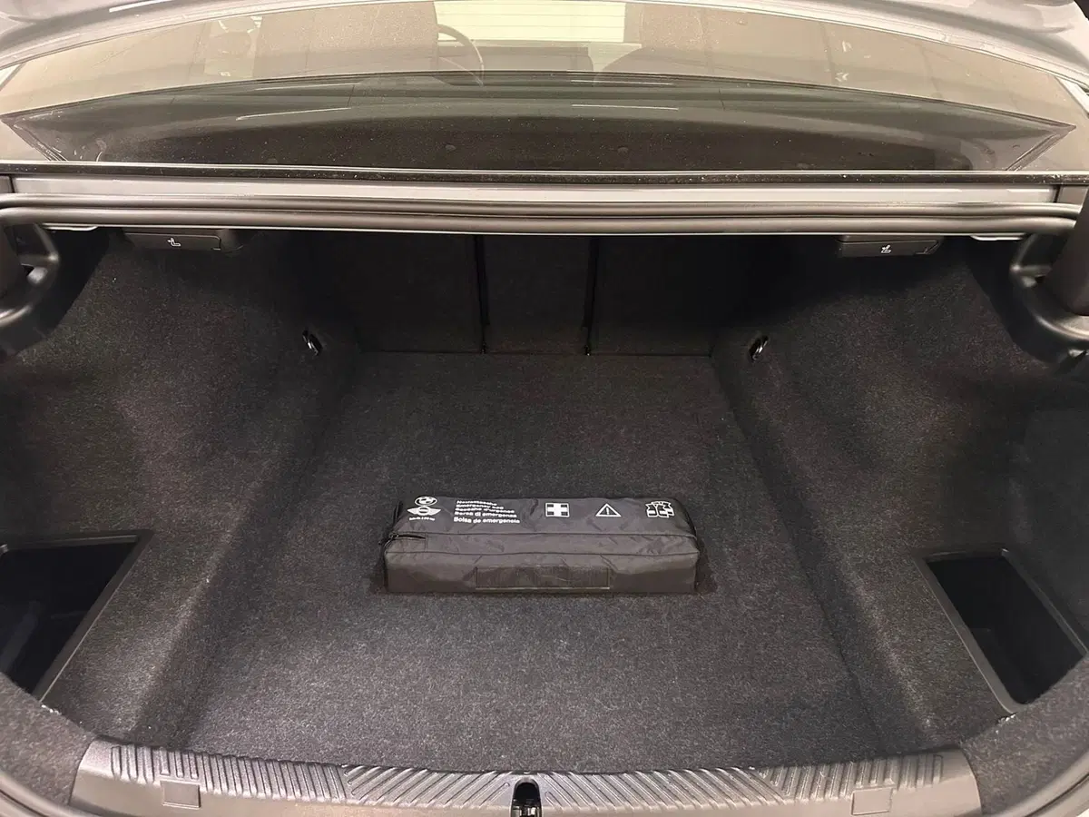 BMW Serie 5 usata a Torino (13)