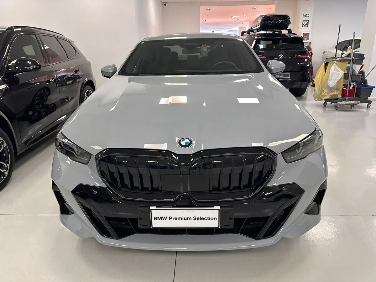 BMW Serie 5 usata a Torino (3)
