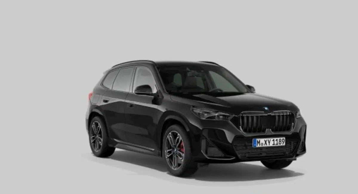 BMW X1 usata a Torino (3)