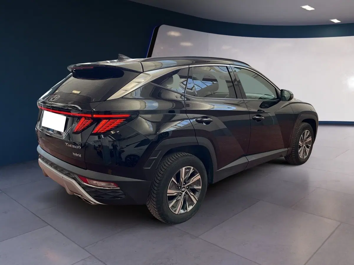Hyundai Tucson usata a Torino (6)