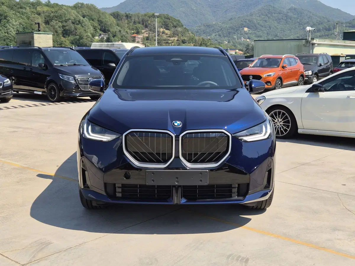 BMW X3 nuova  (2)
