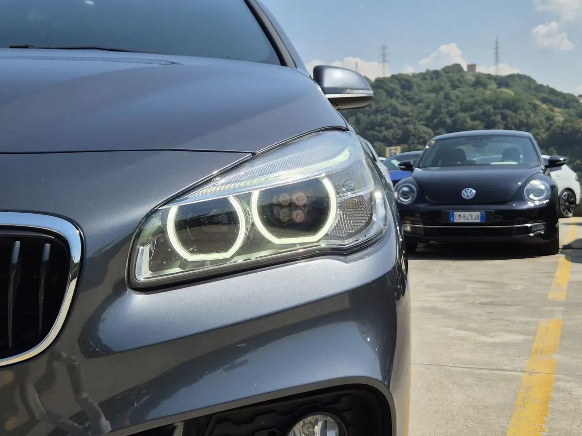 BMW Serie 2 Active Tourer usata  (18)